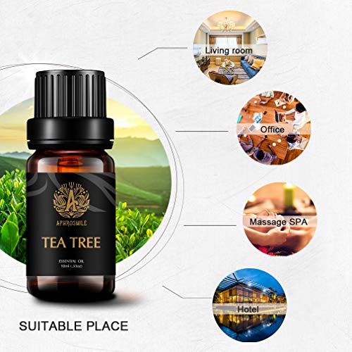 Aceite esencial de aromaterapia Árbol del té, Esencial Oil Tea Tree Perfume (0,33 oz - 10 ml), Aceites de fragancia del árbol del té 100% puros para difusor, Humidificador, Masaje, Aromaterapia,Hogar