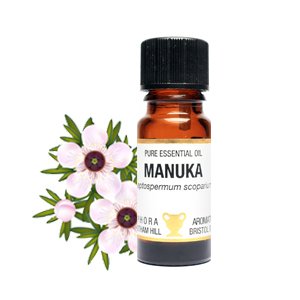 Aceite esencial de Manuka en una botella con cuentagotas de vidrio ámbar de 10 ml. Aceite esencial de Manuka 100% vegano, libre de crueldad, grado terapéutico puro.