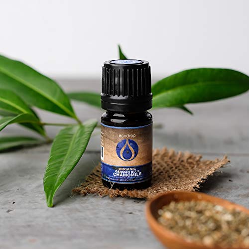Aceite esencial puro de manzanilla alemana azul (Matricaria chamomilla) de Ecodrop, con el certificado ecológico COSMOS, grado terapéutico para aromaterapia, 5ml