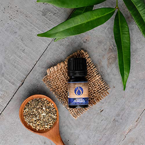 Aceite esencial puro de manzanilla alemana azul (Matricaria chamomilla) de Ecodrop, con el certificado ecológico COSMOS, grado terapéutico para aromaterapia, 5ml