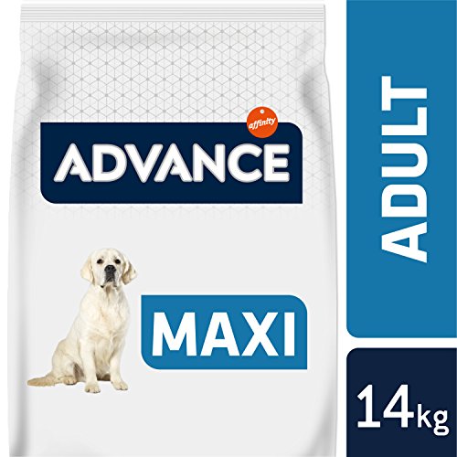 Advance Adult Maxi Pienso para perros adultos de razas grandes - 14 kg