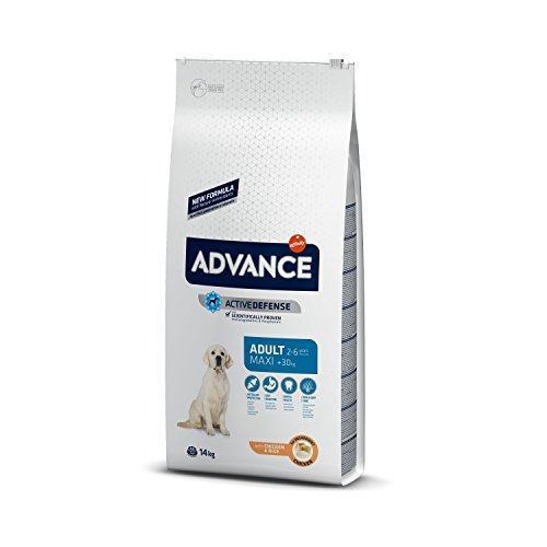 Advance Adult Maxi Pienso para perros adultos de razas grandes - 14 kg
