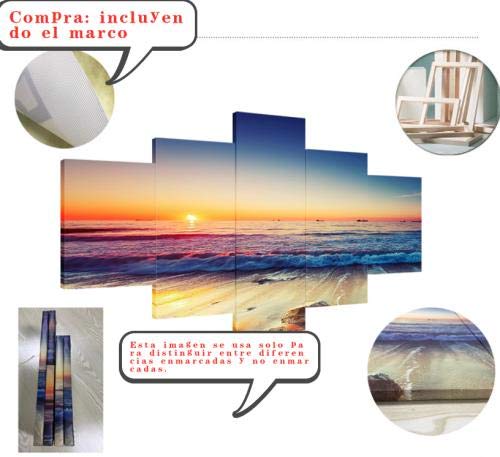 Afeige 5 Unidades Lienzo Pintura Mariposa Rota Pupa Animal Cuadros Paisaje Lienzo Arte De La Pared Decoración para El Hogar para La Sala De Decoración De Lienzo De Pared De Dormitorio -Marco Incluido