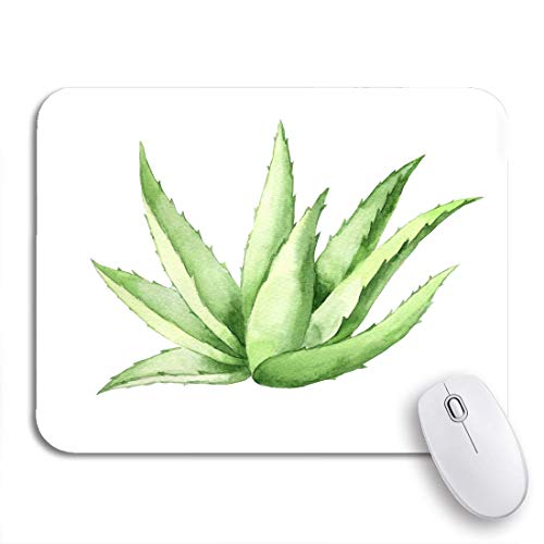 AIMILUX Alfombrilla Raton Alfombrilla Gaming Alfombrilla,Planta de Aloe Vera en Acuarela Agave suculento Verde botánico,Base de Goma Antideslizante para Laptop con computadora y PC