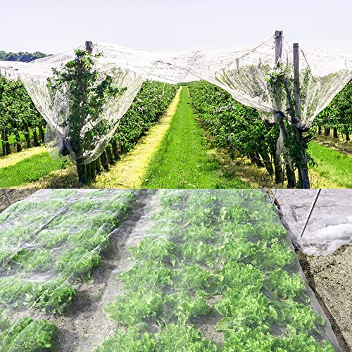 AirSMall Malla de Insectos Red Anti-Insectos,Tejido Malla Alambre Mosquito Bug Insectos Barrera Anti-Aves con Clavo en Forma U a Proteger Plantas Frutas Flores Hortalizas Jardín Huerta Reutilizable