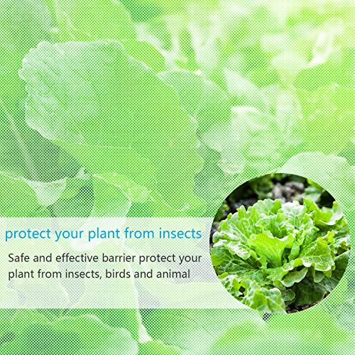 AirSMall Malla de Insectos Red Anti-Insectos,Tejido Malla Alambre Mosquito Bug Insectos Barrera Anti-Aves con Clavo en Forma U a Proteger Plantas Frutas Flores Hortalizas Jardín Huerta Reutilizable