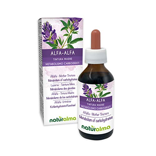 ALFALFA (Medicago sativa) hierba con flores Tintura Madre sin alcohol NATURALMA | Clorofila o clorofilina natural | Extracto líquido gotas 100 ml | Complemento alimenticio | Vegano