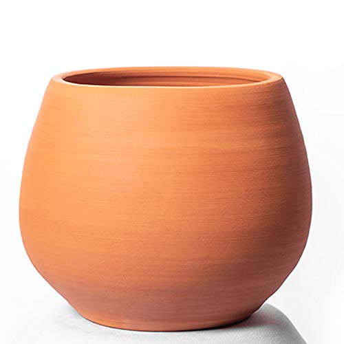 ALFAREROS DAMIAN CANOVAS Maceta DE Barro Color Terracota.+Plato Terracota.Modelo Cuenco 2.Medidas 18CM X1 8CM