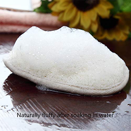 Almohadilla esponjosa esponjosa exfoliante, esponja esponjilla esponjilla lufa y esponja natural, esponja vegetal y material de tela de rizo Depurador esponja Loofa (6片)