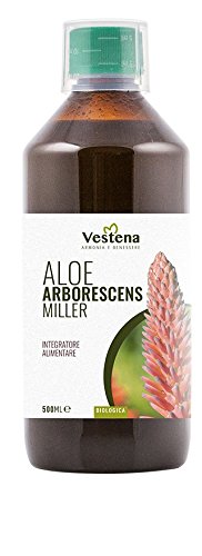 Aloe Arborescens fresco receta de Padre Romano Zago