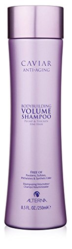 Alterna 39130 - Champú, 250 ml