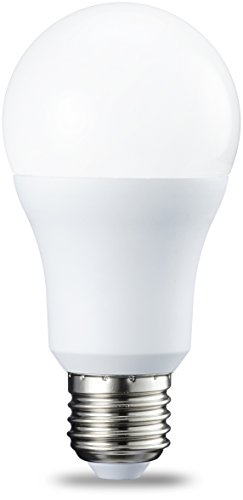 AmazonBasics Bombilla LED Esférica E27, 10W (equivalente a 75W), Blanco Frío - 2 unidades