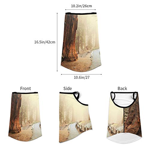 Americana Landscape Decor Forest With Giant Tree Body In The Foggy Forest Yosemite Mist Woodland Es Brownface Bandana Neck Gaiter With Ear Loops, Uv Sun Protection Reusable Cloth Scarf Balaclava