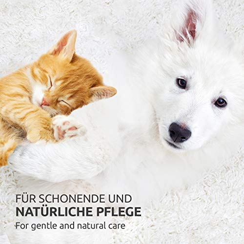 AniForte Denta Clean and Care Powder para Perros y Gatos 80g - Producto Natural para el Cuidado de los Dientes. Dientes Blancos, Aliento Fresco, Prevención de Placa, cuidado dental, polvo de dientes