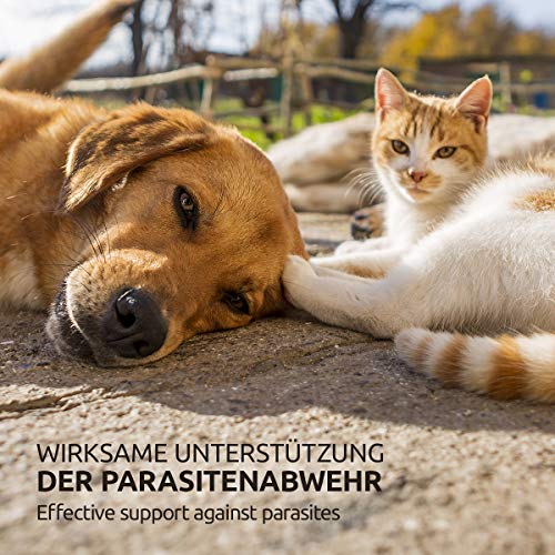 AniForte Spray antiácaros para Perros y Gatos 100 ml - Spray antiácaros para una Defensa eficaz contra Insectos y parásitos. Protección contra infestación de ácaros