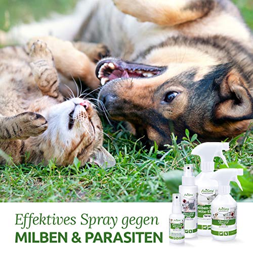 AniForte Spray antiácaros para Perros y Gatos 100 ml - Spray antiácaros para una Defensa eficaz contra Insectos y parásitos. Protección contra infestación de ácaros