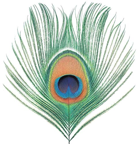 Apple Star Venus - Volumen I [Vinilo]