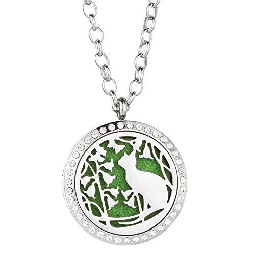 Aromaterapia difusor de aceite magnético Locket colgante con Collar Cadena libre 24 ", almohadillas y gran hipoalergénico propiedad por Jenia