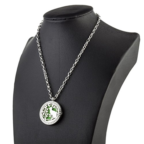 Aromaterapia difusor de aceite magnético Locket colgante con Collar Cadena libre 24 ", almohadillas y gran hipoalergénico propiedad por Jenia