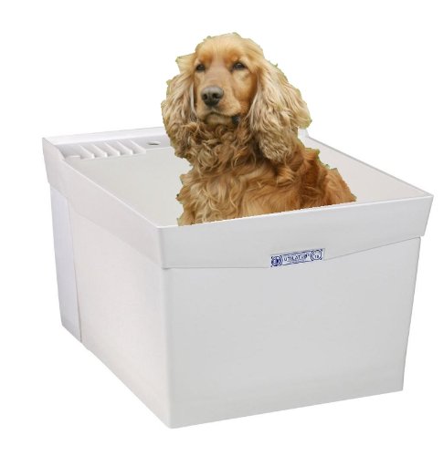 auguss Platillos Lavado trog Big Benny 15 W