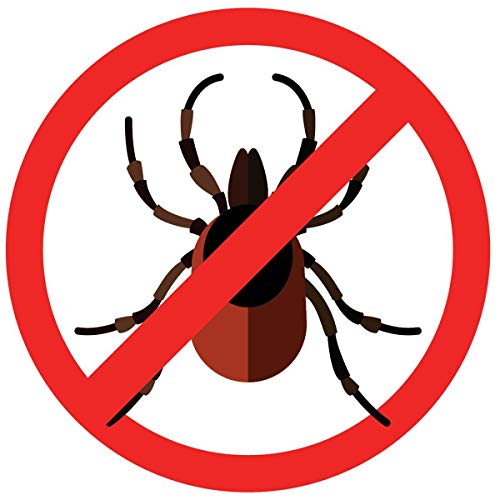 AUTAN Protección Plus Multi PROTECCIÓN CONTRA INSECTOS SPRAY 100ml - Protección contra mosquitos, tigermücken, stechfliegen y garrapatas (6er Pack)