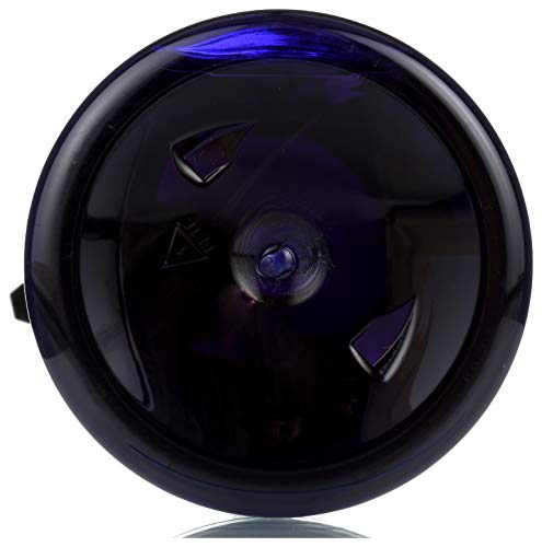 Avalon Organics - Champú grueso Biotin B-Complex Therapy – 32 fl oz