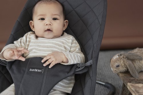 Babybjörn Bliss Hamaca ergonómica con balanceo natural para Bebés, Antracita