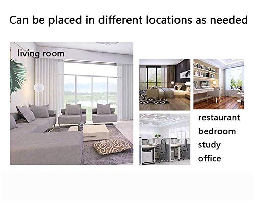 BATOWE Cenicero portátil con Tapa a Prueba de Viento de Metal jardín Rose Ash Vendimia Soporte for los Fumadores, Escritorio Fumadores Cenicero for el hogar (Color : Platinum, Size : 10 * 13cm)