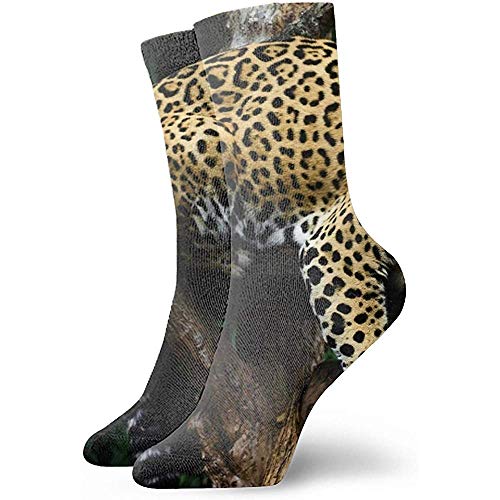 Be-ryl Calcetines Deportivos con Estampado de Leopardo Rasslabon para Hombres y Mujeres Calcetines Deportivos Abstractos de Mecha