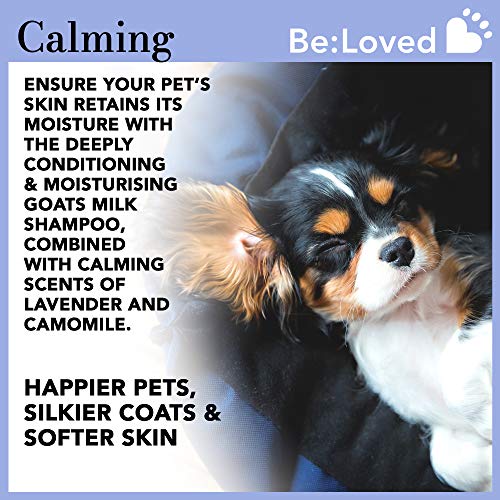 Be:calm Pet Champú Bar calmante e hidratante, ingredientes naturales de cabra leche y lavanda, hecho a mano en el Reino Unido, barra de 110 g