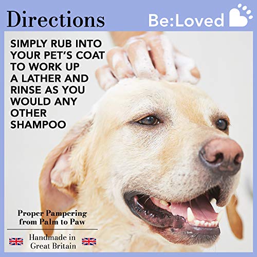 Be:calm Pet Champú Bar calmante e hidratante, ingredientes naturales de cabra leche y lavanda, hecho a mano en el Reino Unido, barra de 110 g