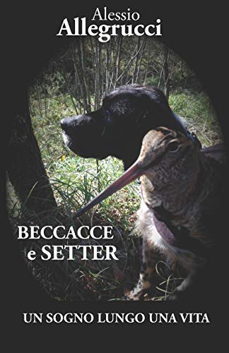 BECCACCE E SETTER: UN SOGNO LUNGO UNA VITA