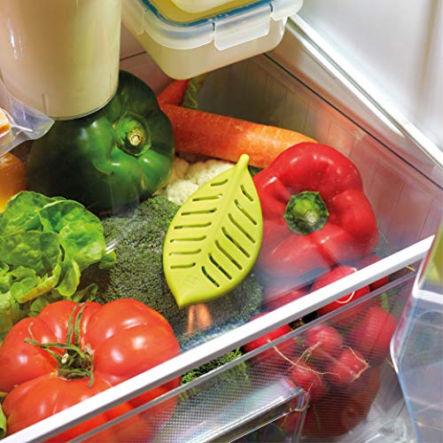 BEfresh HOME - Frutas y verduras FRESCAS durante un 40% más de TIEMPO | Para uso dentro y fuera de la nevera | Pack de 1 año | 2 Recipientes + 4 Sachets | Made in Spain