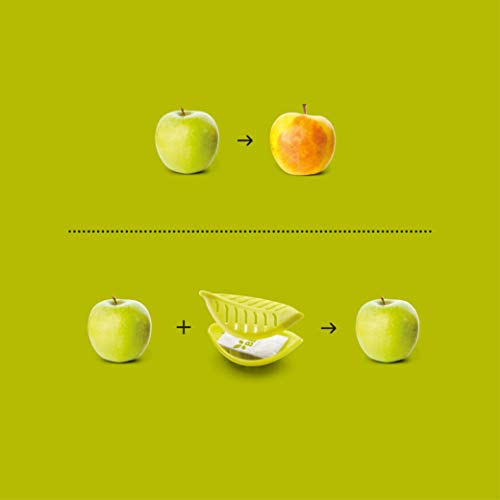 BEfresh HOME - Frutas y verduras FRESCAS durante un 40% más de TIEMPO | Para uso dentro y fuera de la nevera | Pack de 1 año | 2 Recipientes + 4 Sachets | Made in Spain