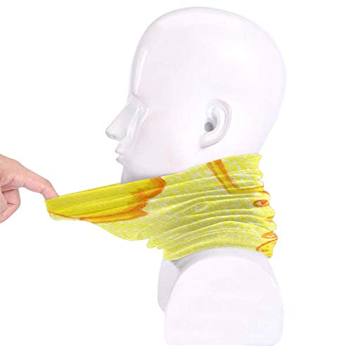 Belle'Companion - La Bella y la Bestia Calentador de cuello de microfibra, protectores de cara deportivos, protector de boca a prueba de viento a prueba de polvo