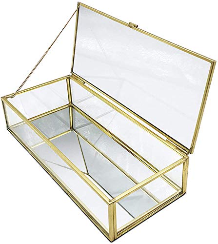 BFDMY Caja Envase Geométrico,Organizador De CosméTicos,Planta Suculento Terrario Transparente Terrario Geométrico Multifunción,Joyero De Cristal Dorado