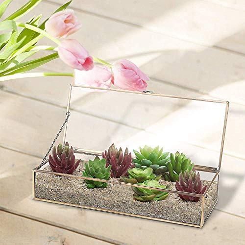 BFDMY Caja Envase Geométrico,Organizador De CosméTicos,Planta Suculento Terrario Transparente Terrario Geométrico Multifunción,Joyero De Cristal Dorado