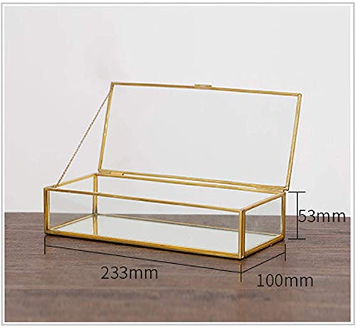 BFDMY Caja Envase Geométrico,Organizador De CosméTicos,Planta Suculento Terrario Transparente Terrario Geométrico Multifunción,Joyero De Cristal Dorado