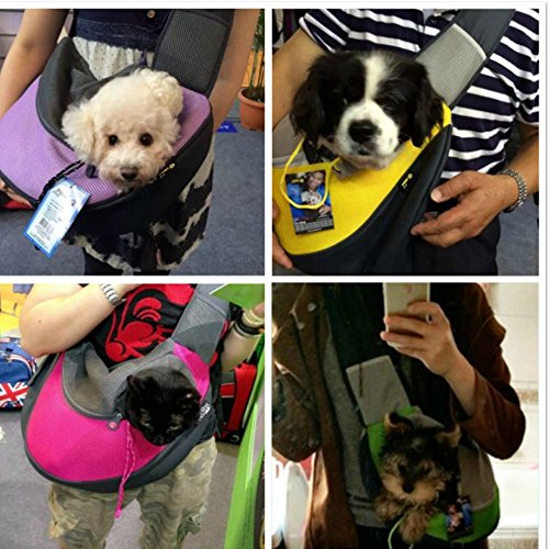BIGWING Style-Bolso Bandolera para Llevar Perrito/Gatito/Mascota Portable Todo en Uno, Azúl Pequeño