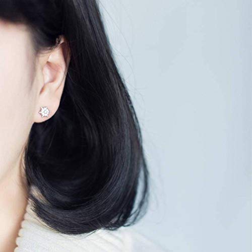 BinLZ S925 Tremella Studs Sensen Sweet Studded Snowflake Stud Pendientes Joyas de Oreja Mujer, Plata 925 d