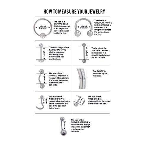 BodyJewelryonline 250pk Adultos o Final anodizado 500pk no Piercing Aros consigue el Look, sin el Dolor! -Embalaje Venta por Menor Listo (500)