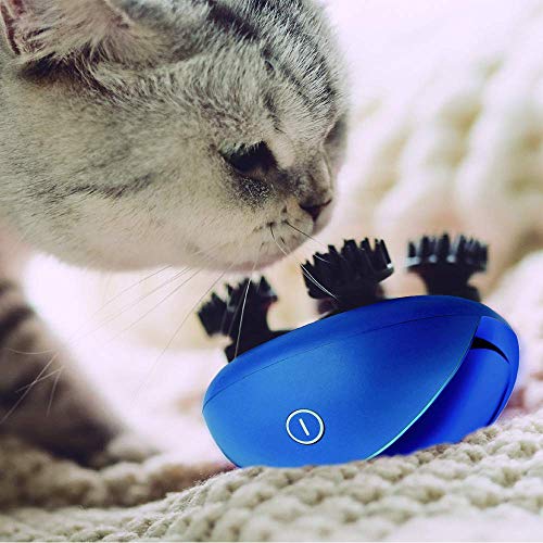 Breo Masajeador de Cuero Cabelludo, Dispositivo de Masaje Corporal para Reducir el Estrés y Mejorar la Circulación Sanguínea, Impermeable Funcionamiento en Seco y en Húmedo - Scalp Mini (Azul)