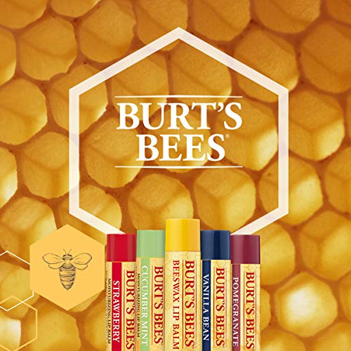 Burt's Bees Beeswax Lip Balm with Vitamin E & Peppermint 0.15 oz