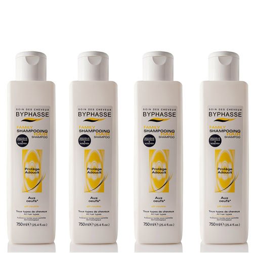 Byphasse Family - Manteca de karité y miel para cabello seco y dañado, 750 ml