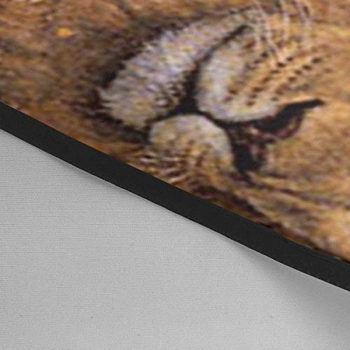 Cabo de peluquería africana hermosa mujer con león corte de pelo peluquería profesión barbería suministros babero kit para hombres y mujeres