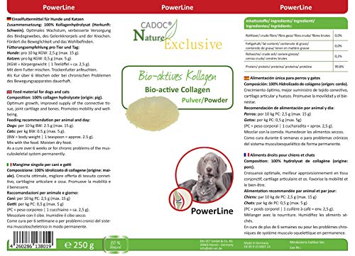 Cadoc - Nature Exclusive Colágeno Bio-Active