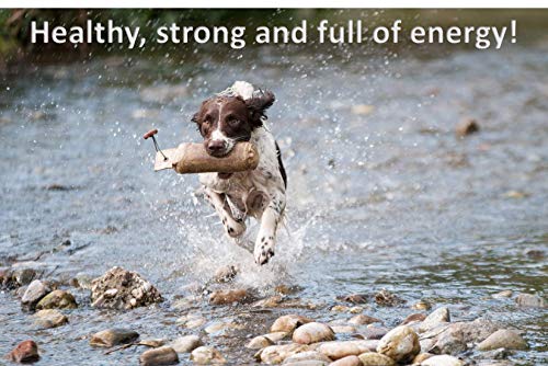 Cadoc - Nature Exclusive Colágeno Bio-Active