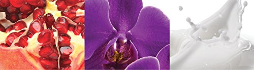 Calvin Klein Euphoria Eau de Toilette Vaporizador 50 ml