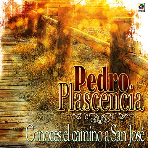 Caminando Por La Sexta Avenida