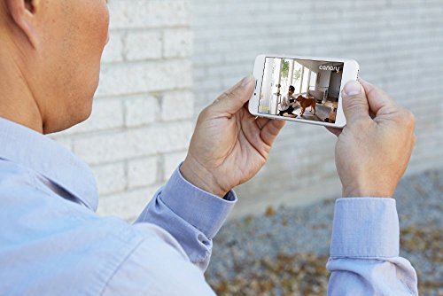 Canary CAN100EU6BK Sistema de seguridad todo en uno para el hogar, Negro